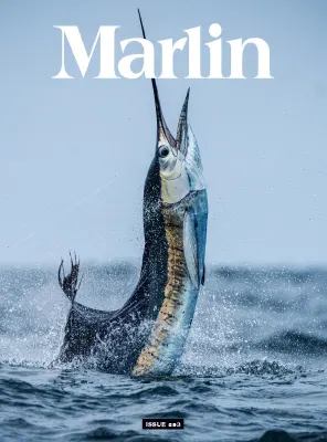 Marlin January February 2026