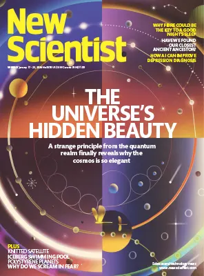 New Scientist US No.3578 17 23 January 2026