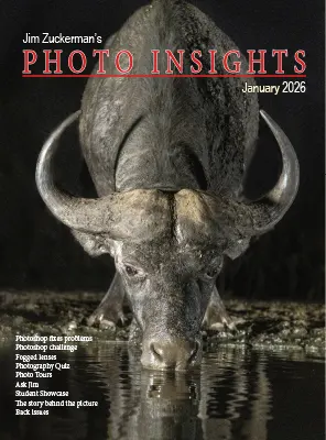 Photo Insights January 2026
