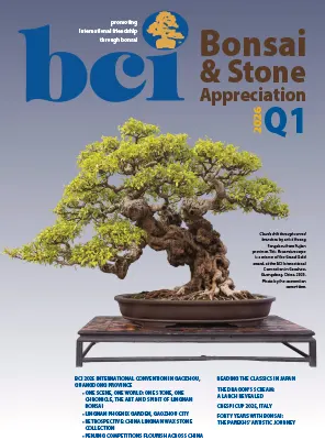 BCI Bonsai Stone Appreciation Magazine Q1 2026