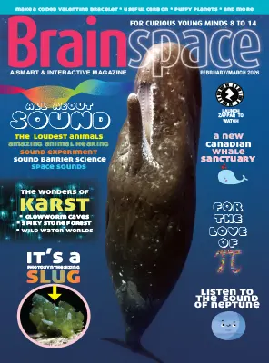 Brainspace February March 2026