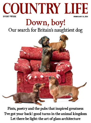 Country Life UK February 25 2026