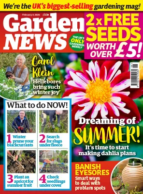Garden News 03 February 2026