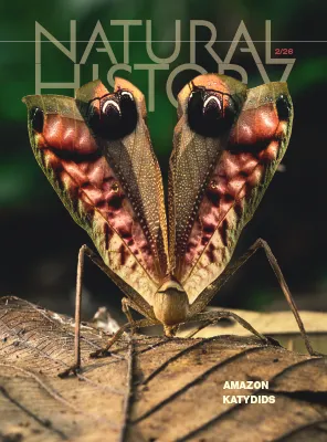 Natural History February 2026
