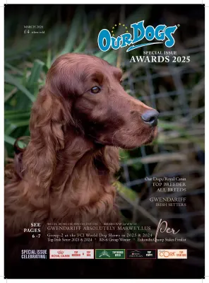 Our Dogs Awards 2026