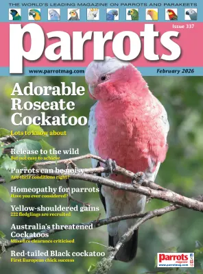 Parrots Magazine February 2026