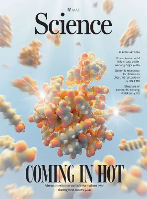 Science Issue 6786 Volume 391 February 12 2026