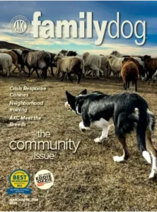 AKC Family Dog March April 2026