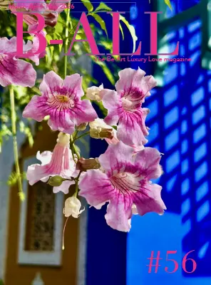 B ALL UK March May 2026