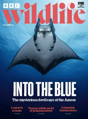 BBC Wildlife Magazine Vol. 44 Issue 04 Spring 2026