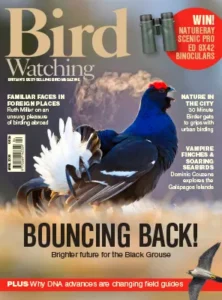 Bird Watching UK April 2026