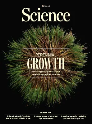 Science Issue 6791 Volume 391 March 19 2026 3
