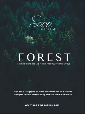 Sooo. Magazine Forest Winter 2026