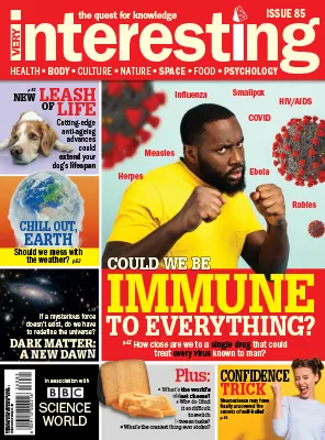 Very Interesting Issue 85 2026
