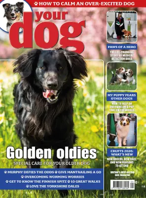 Your Dog April 2026