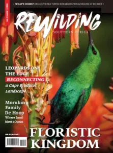 Rewilding Southern Africa Vol 4 Issue 1 2026
