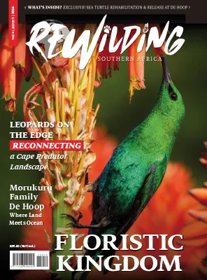 Rewilding Southern Africa Vol 4 Issue 1 2026