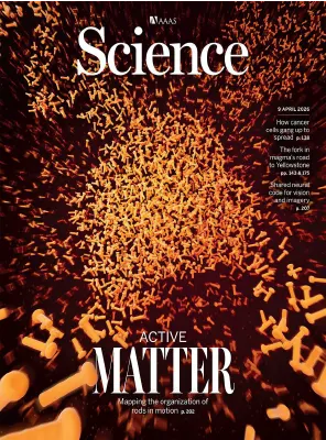 Science Issue 6794 Volume 392 April 09 2026