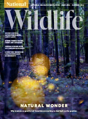 National Wildlife Summer 2026