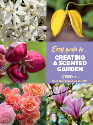 Amateur Gardening Easy Guide To Issue 14 2026