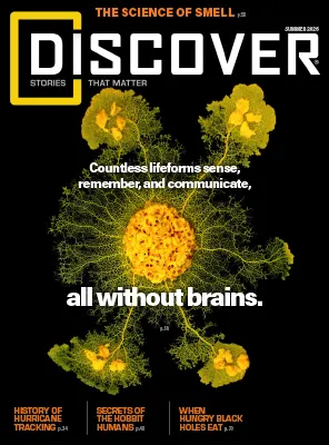 Discover Summer 2026