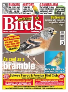 Cage Aviary Birds Issue 6432 19 August 2026