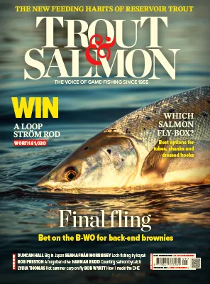 Trout Salmon September 2026