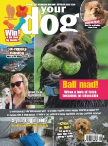Your Dog September 2026