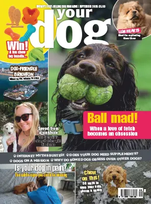 Your Dog September 2026