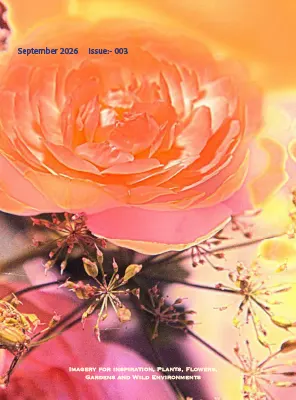 Florimuse Issue 3 September 2026
