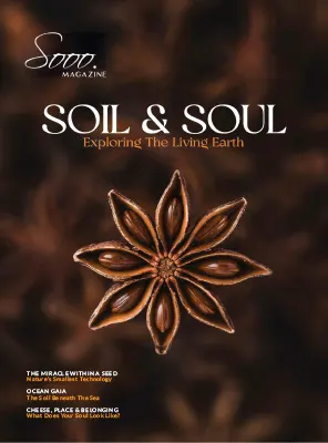 Sooo.Magazine Soil Soul Fall 2026